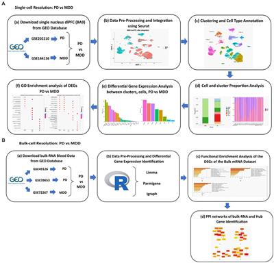 Unraveling the transcriptomic signatures of Parkinson’s disease and major depression using single-cell and bulk data